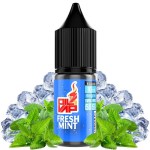 fresh-mint-10ml-oil4vap